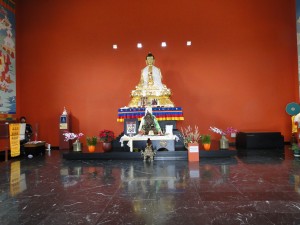 DSC04003