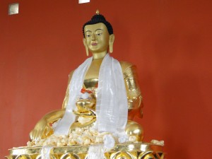 DSC04022